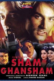 Sham Ghansham (1998) Hindi Movie Download & Watch Online WebRip 480p, 720p & 1080p