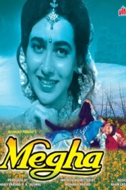 Megha (1996) Movie Download & Watch Online WEBRip 480p, 720p & 1080p